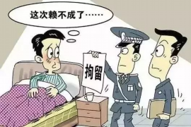 辰溪遇到恶意拖欠？专业追讨公司帮您解决烦恼